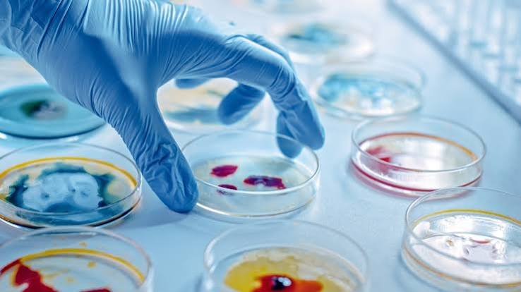 Microbial Biotechnology: Innovative Applications in Healthcare, Agriculture, and the Environment
