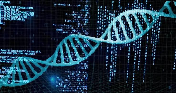 What Is Bioinformatics and How Does It Work?